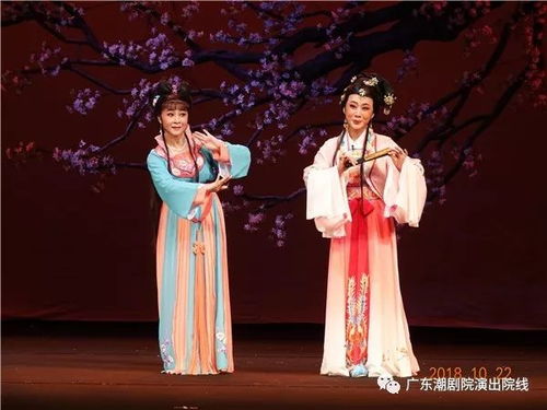 潮剧新星林燕云 角逐梅花奖的传承与创新之路