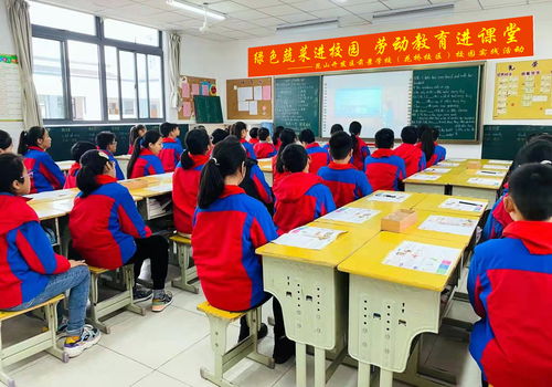 中医药文化润童心，绿色田园伴成长——前景教育集团“中草药文化与绿色蔬菜进校园”项目研究与实践