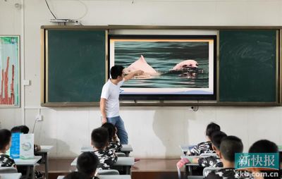 广东自然教育阵地超300个 绿色教育文化建设见成效